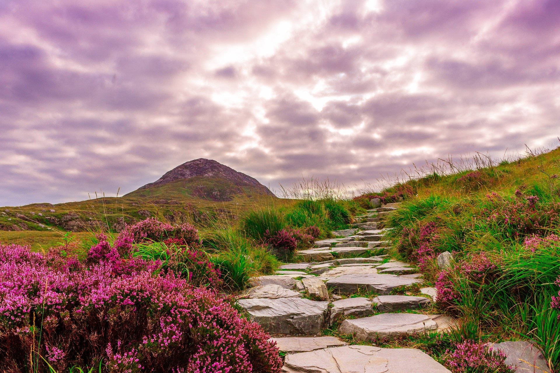 Ireland National Park Connemara 