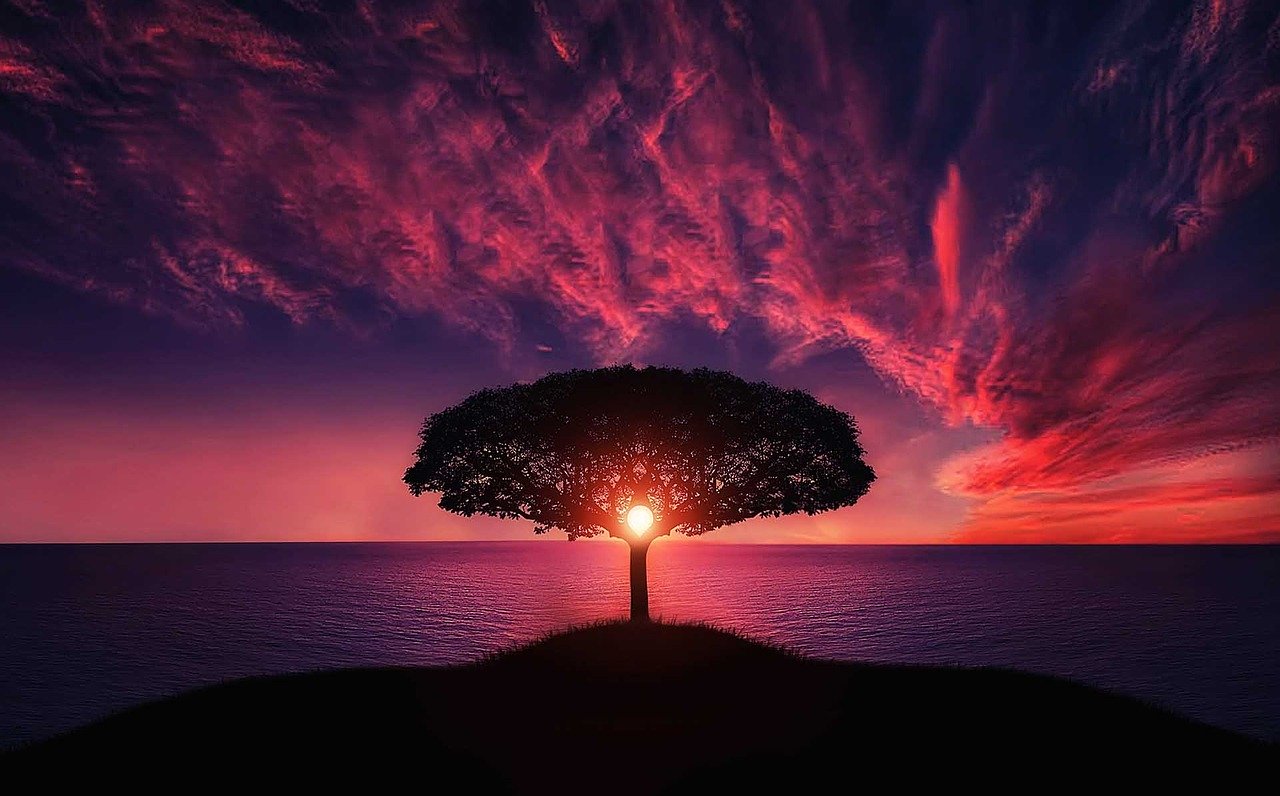 Sunset 