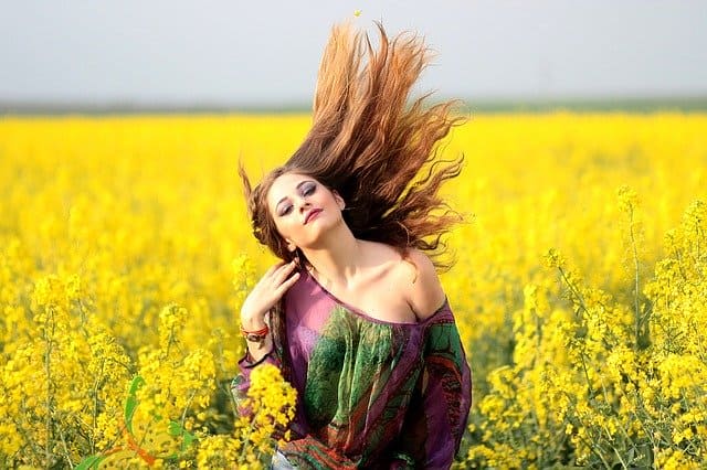 Flowers Yellow