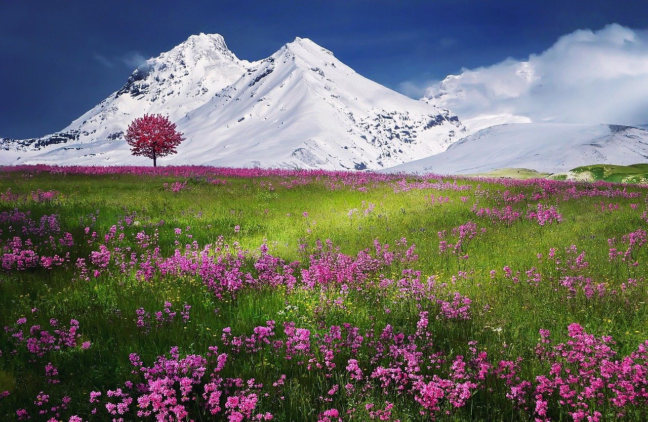 Snow Mountain 