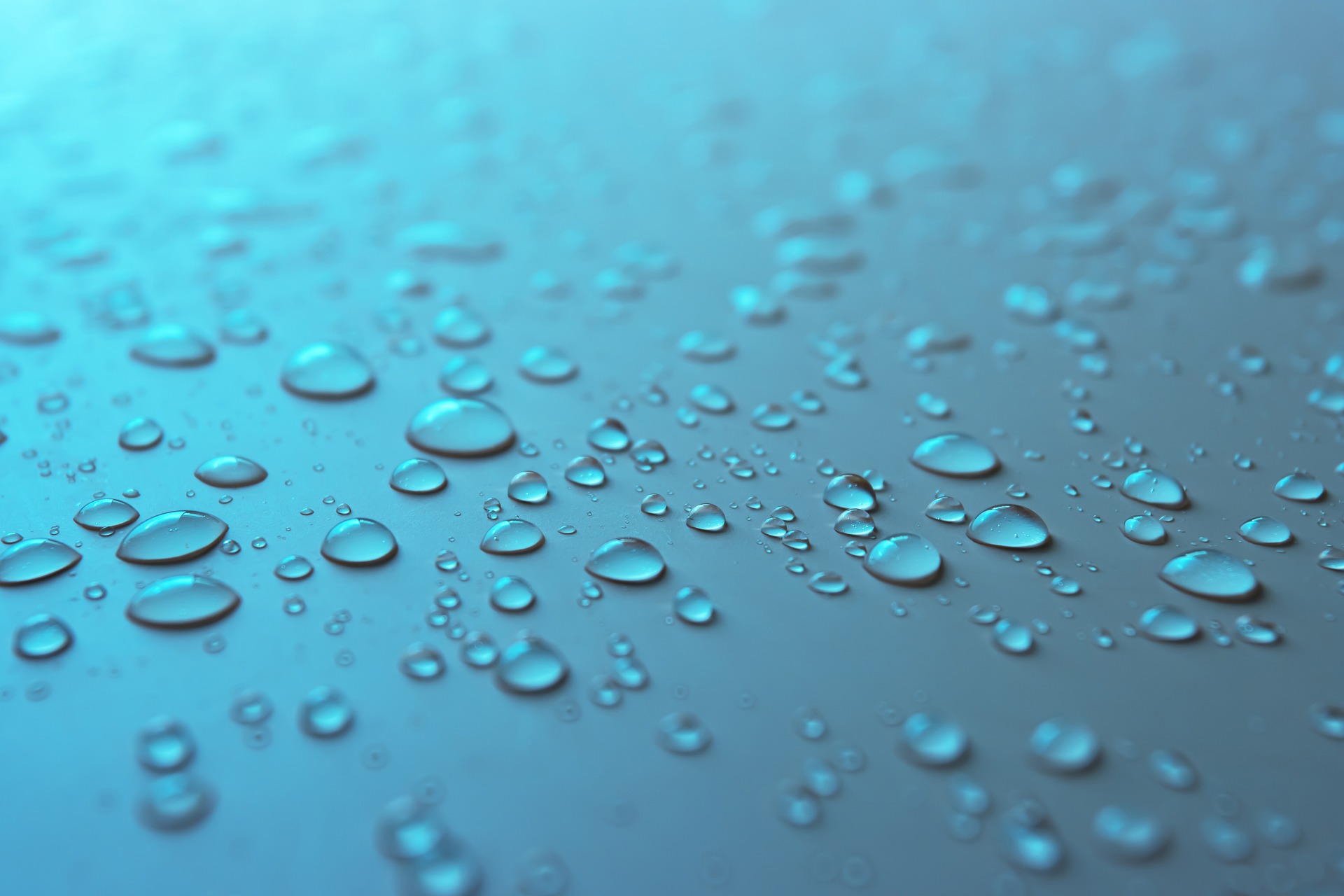 Water Drops