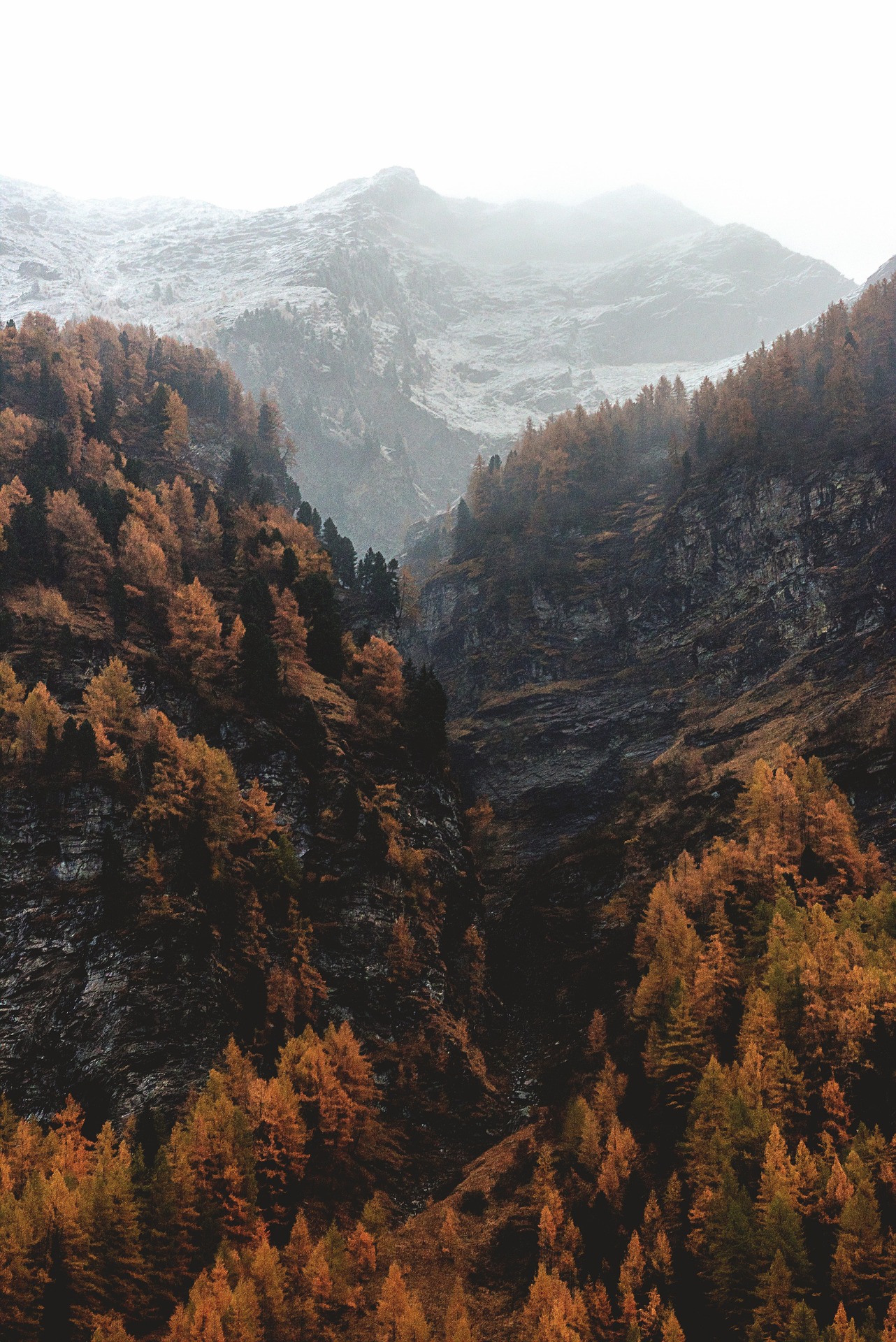 Nature