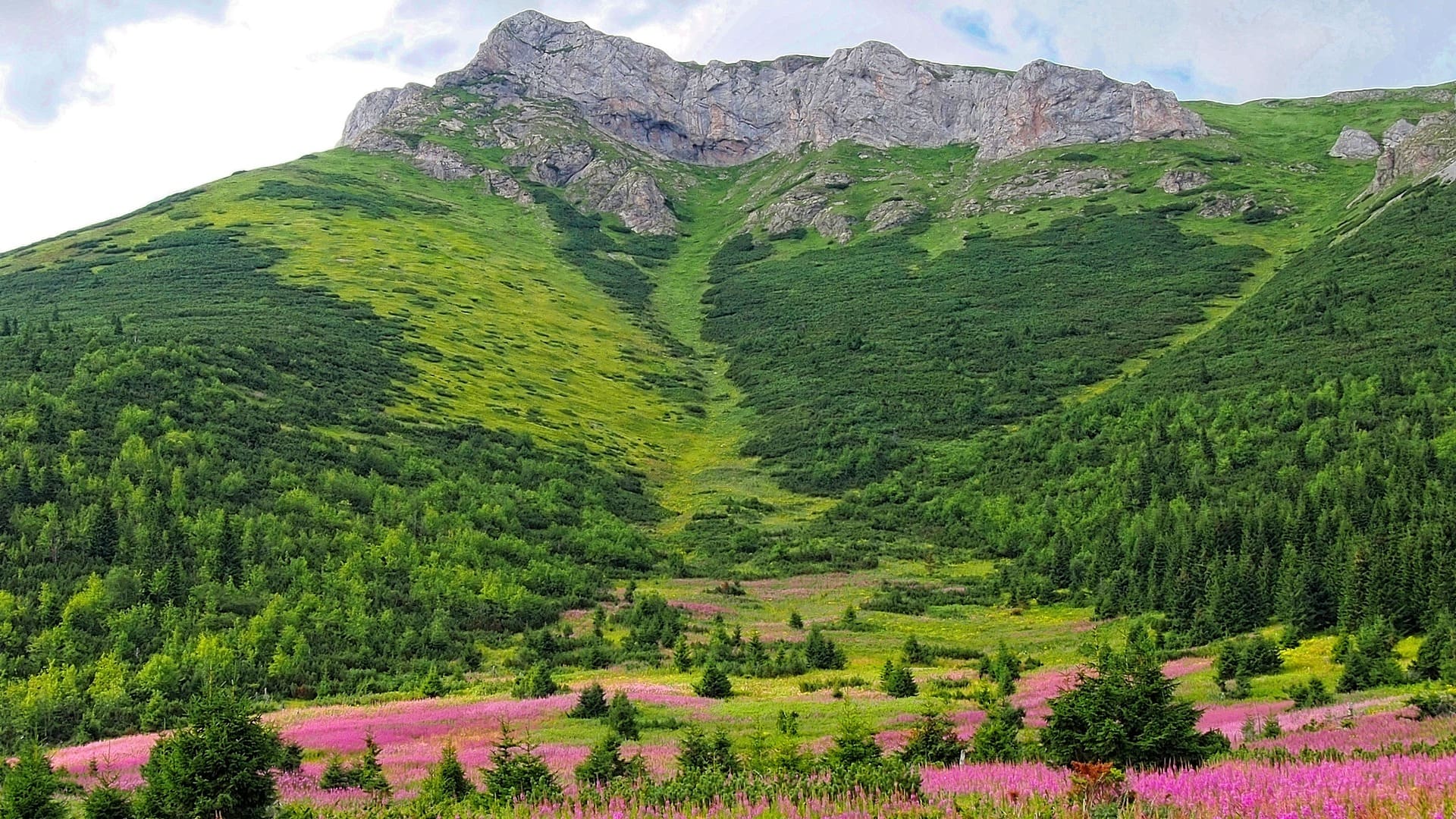 Mountain