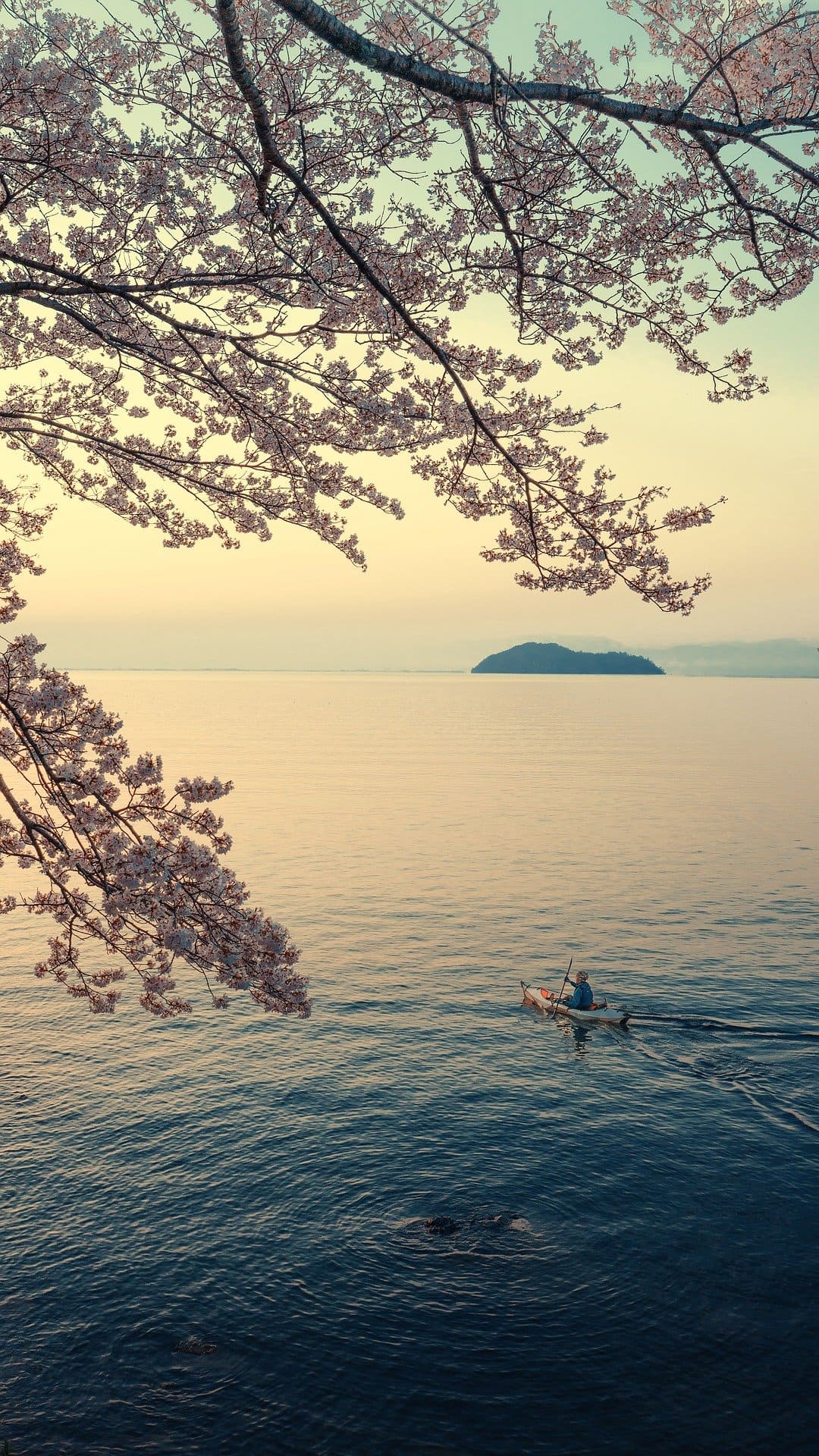 Landscapes