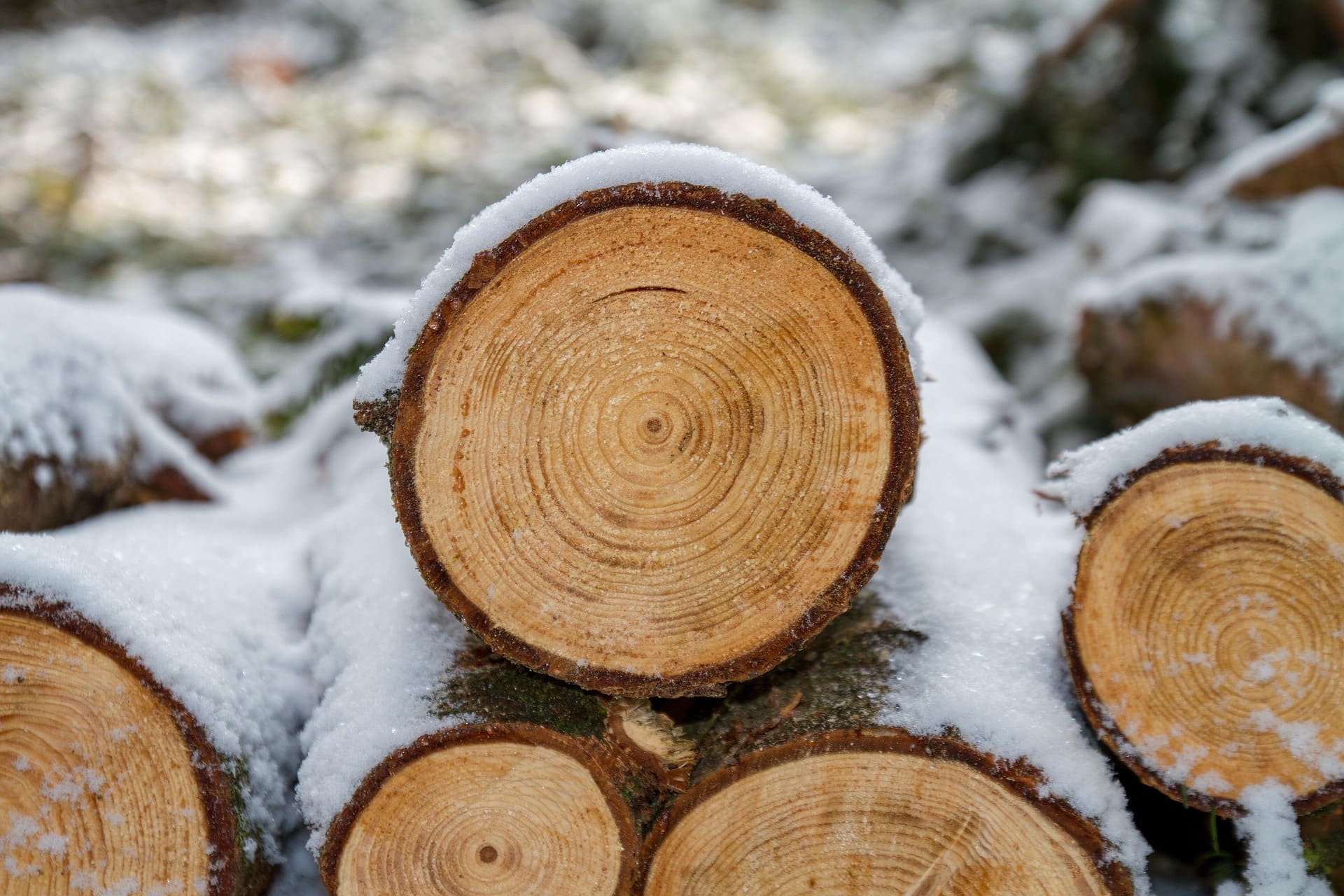 Wood