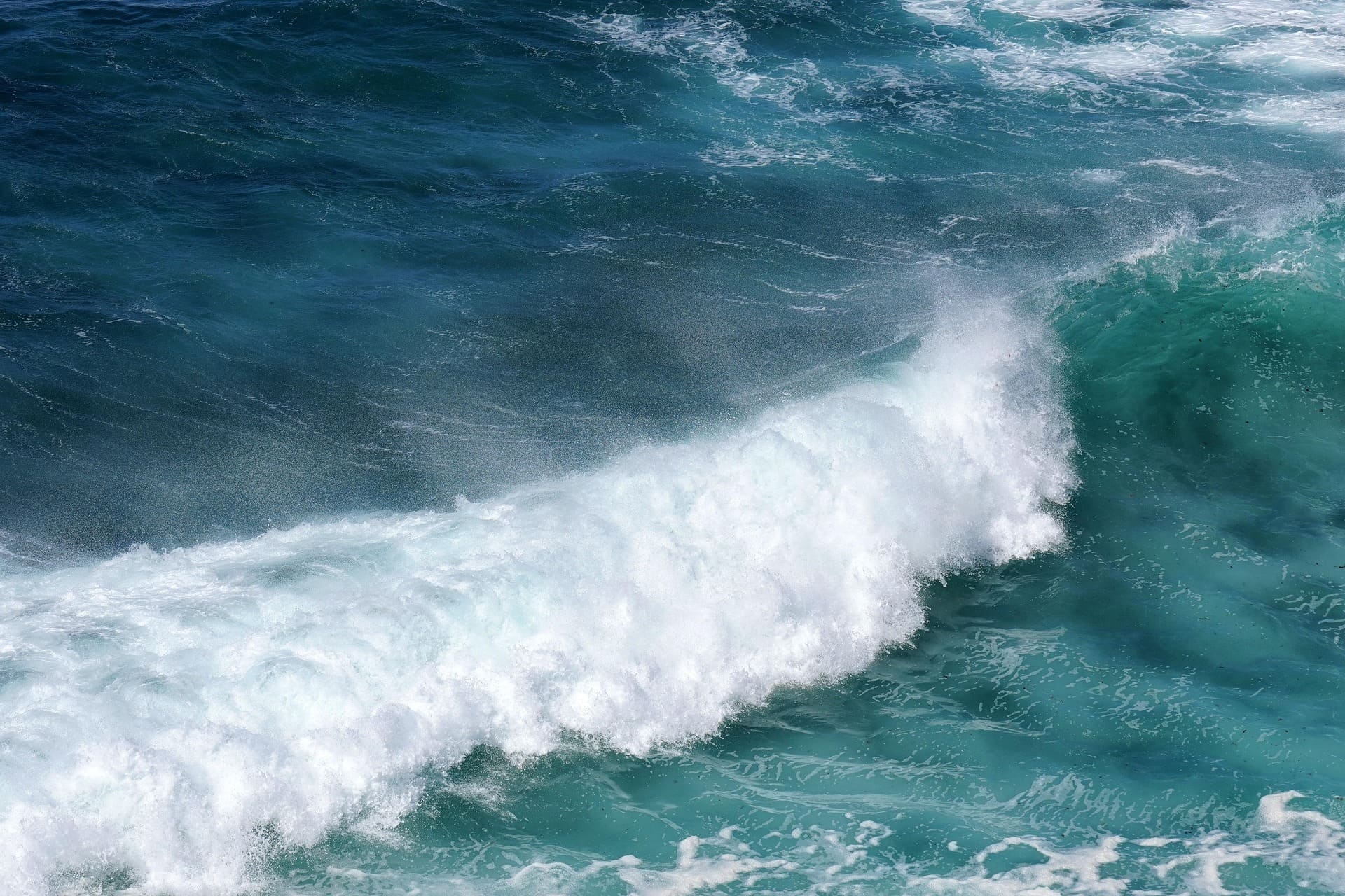 Wave