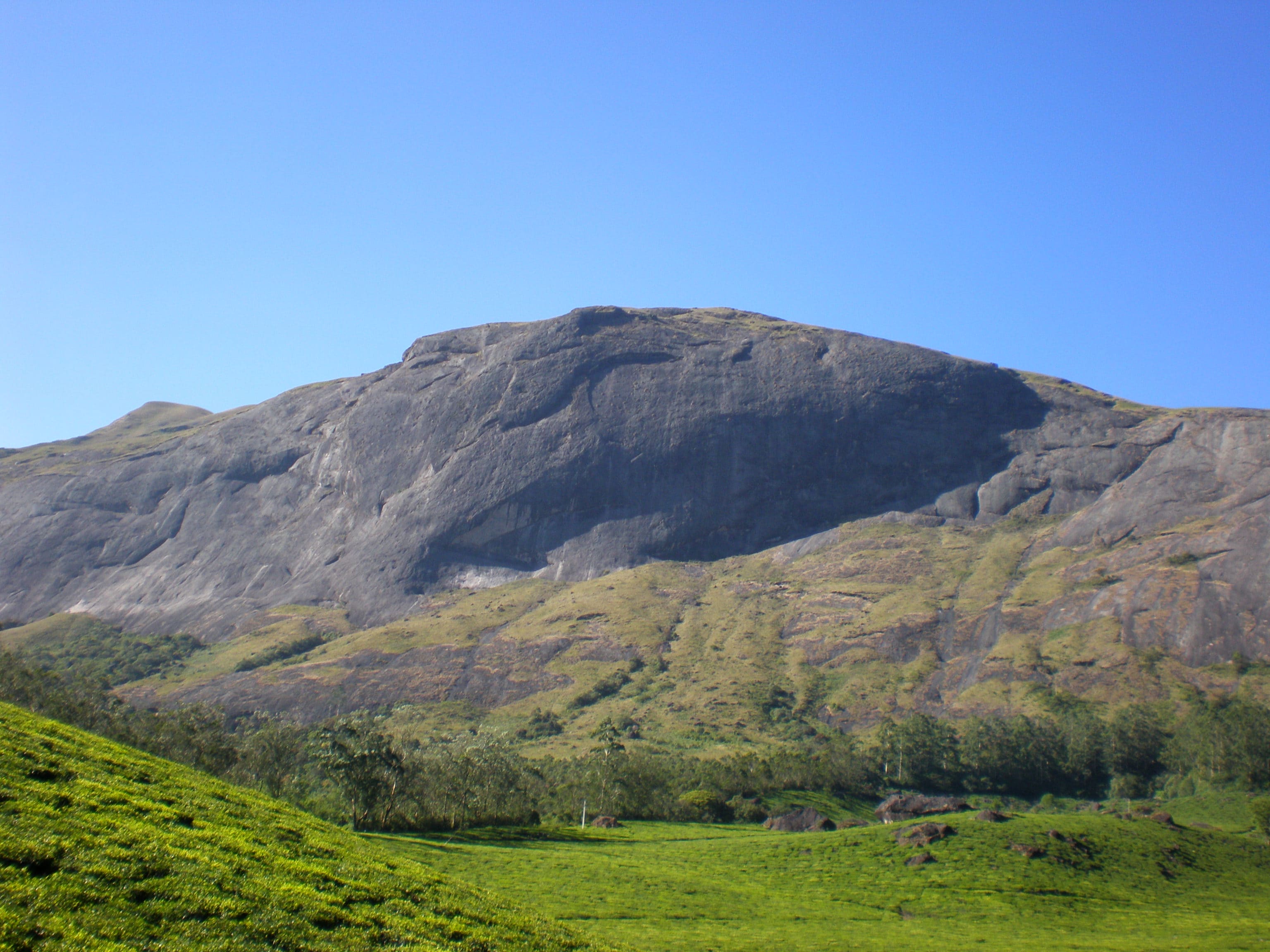Anamudi